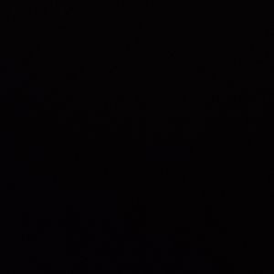 Meet your Posher, Josie